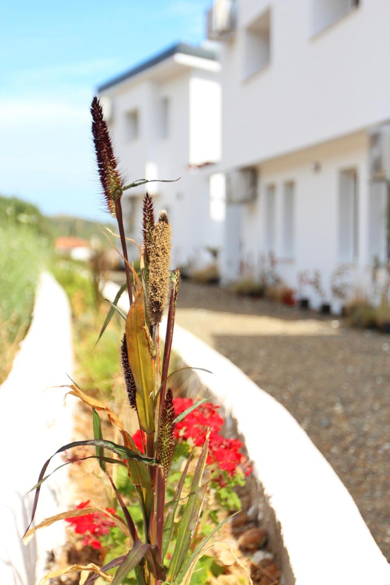 Loutra * Agia Paraskevi (Kassandra)